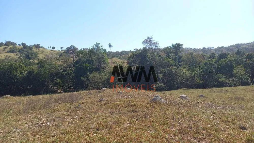 Fazenda, 136 hectares - Foto 4