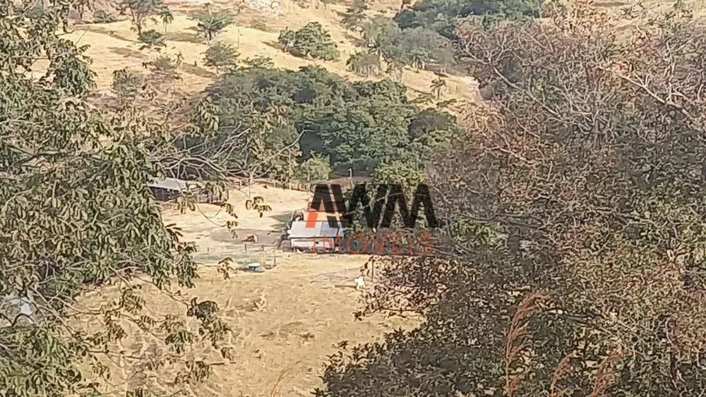 Fazenda, 136 hectares - Foto 8