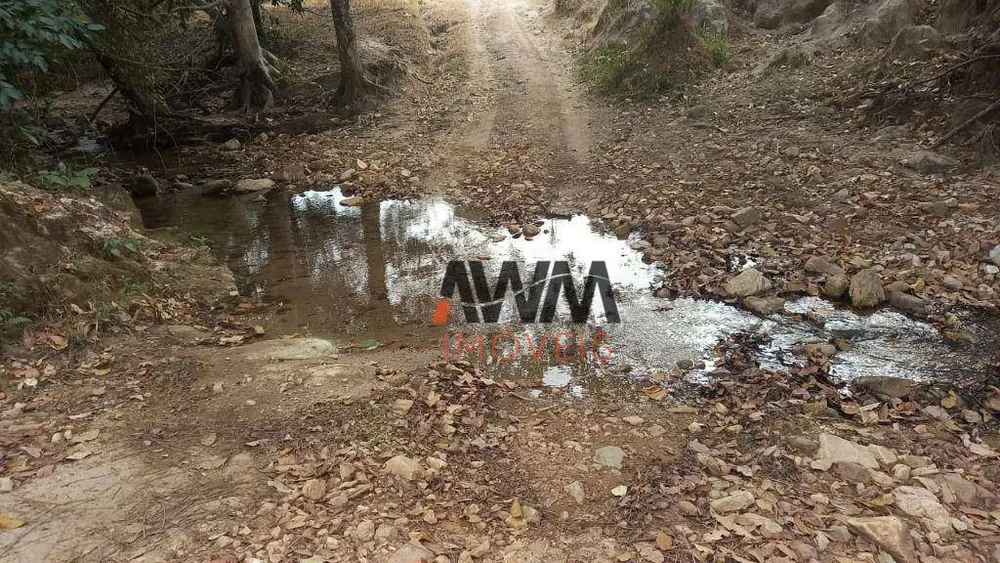 Fazenda, 136 hectares - Foto 11