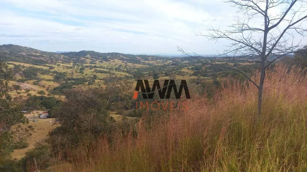 Fazenda, 136 hectares - Foto 10