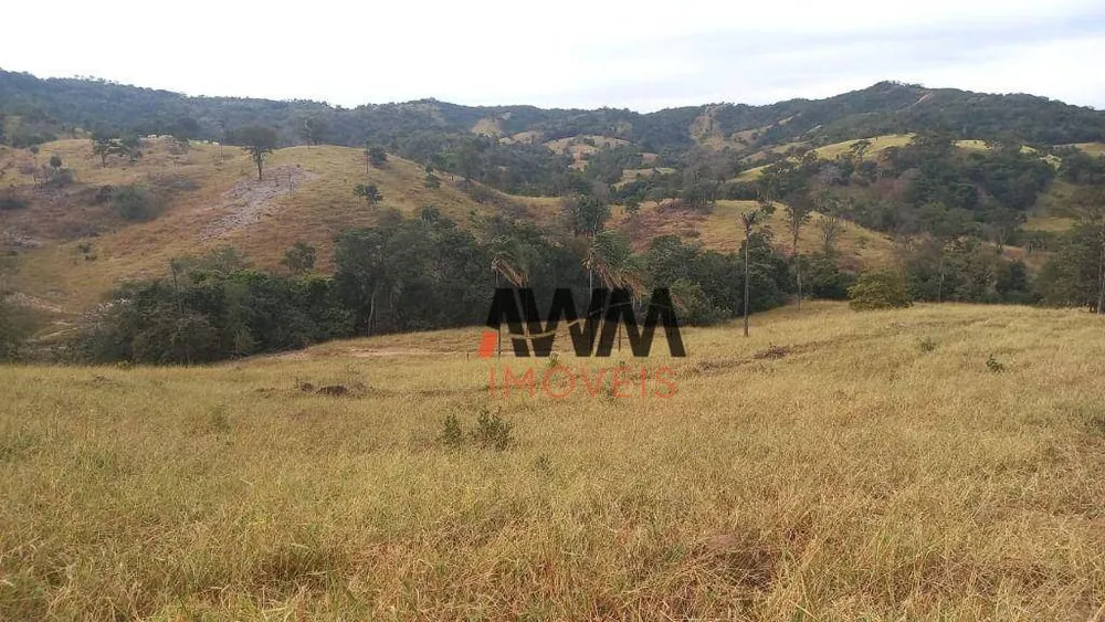 Fazenda, 136 hectares - Foto 9