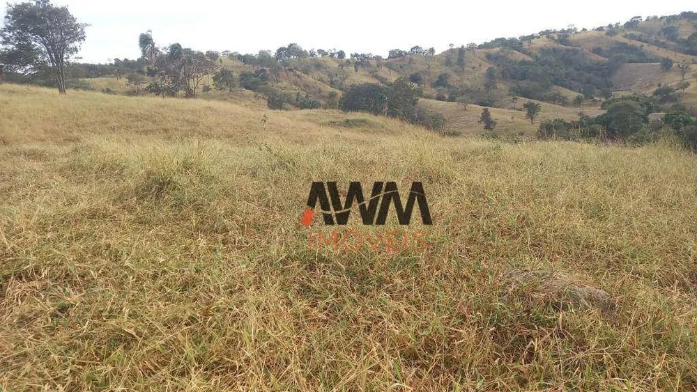 Fazenda, 136 hectares - Foto 6