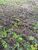 Fazenda, 4122 hectares - Foto 3