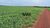 Fazenda, 2483 hectares - Foto 3