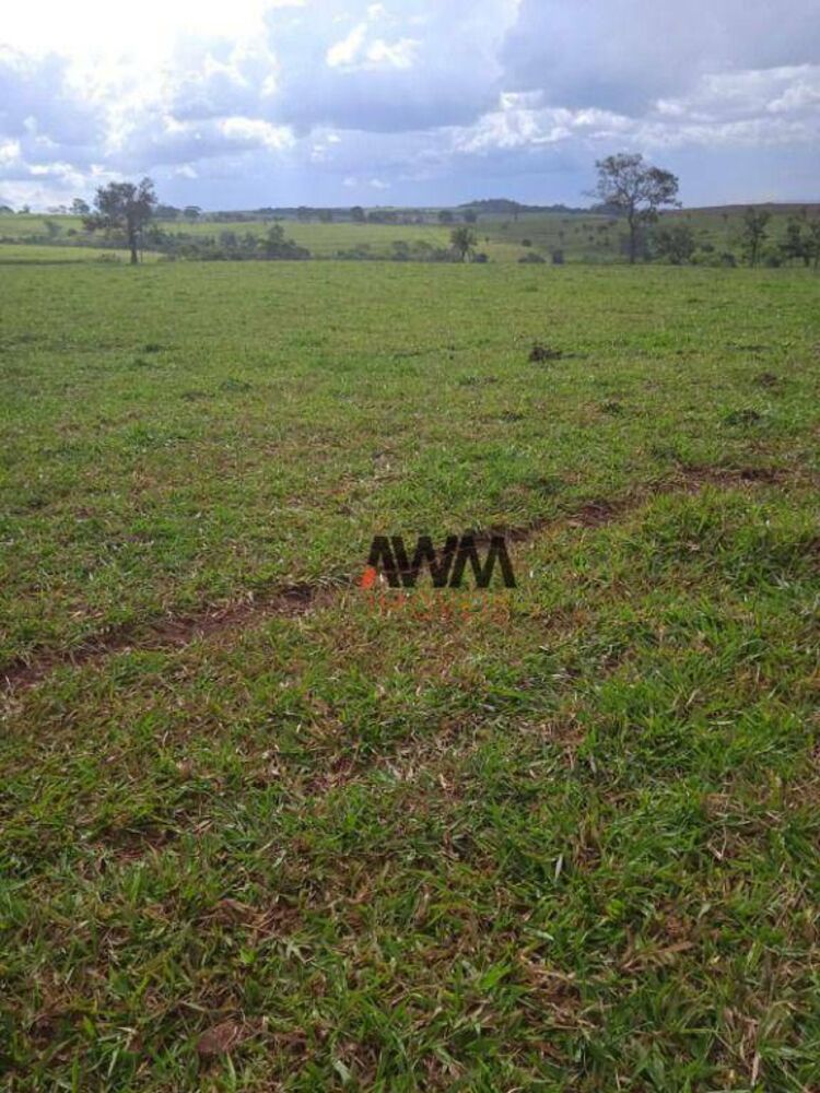 Fazenda, 160 hectares - Foto 2