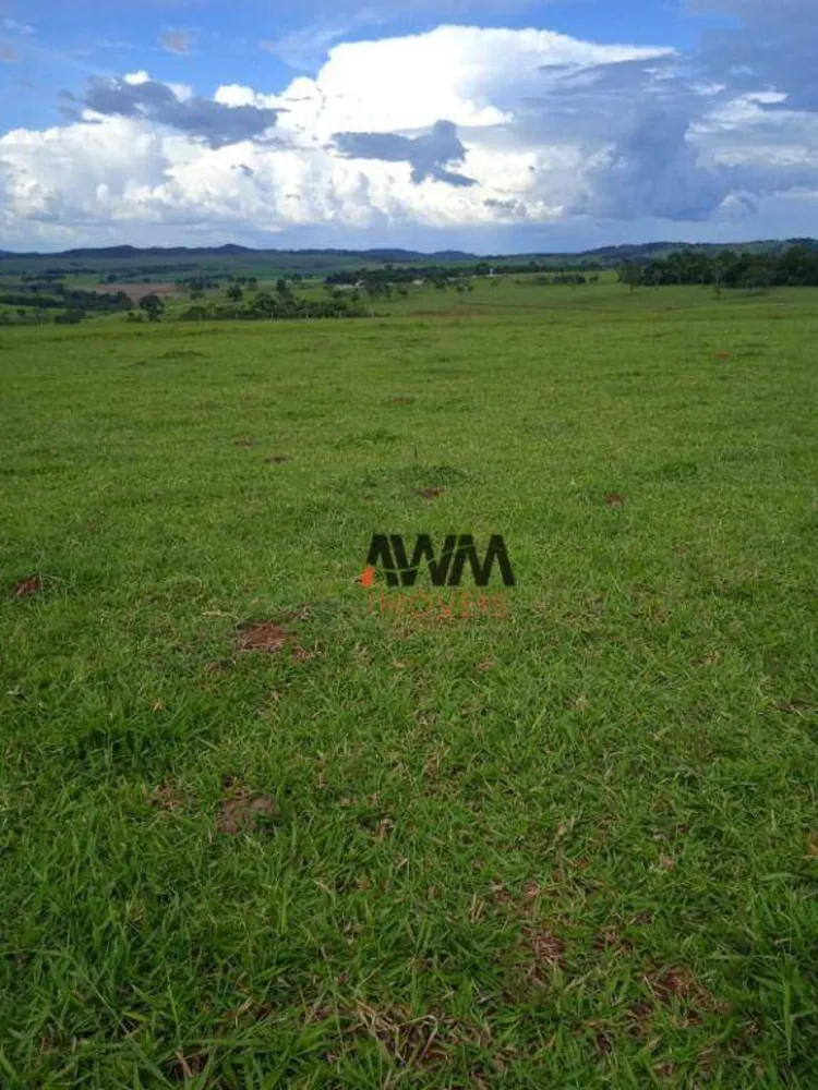 Fazenda, 160 hectares - Foto 13