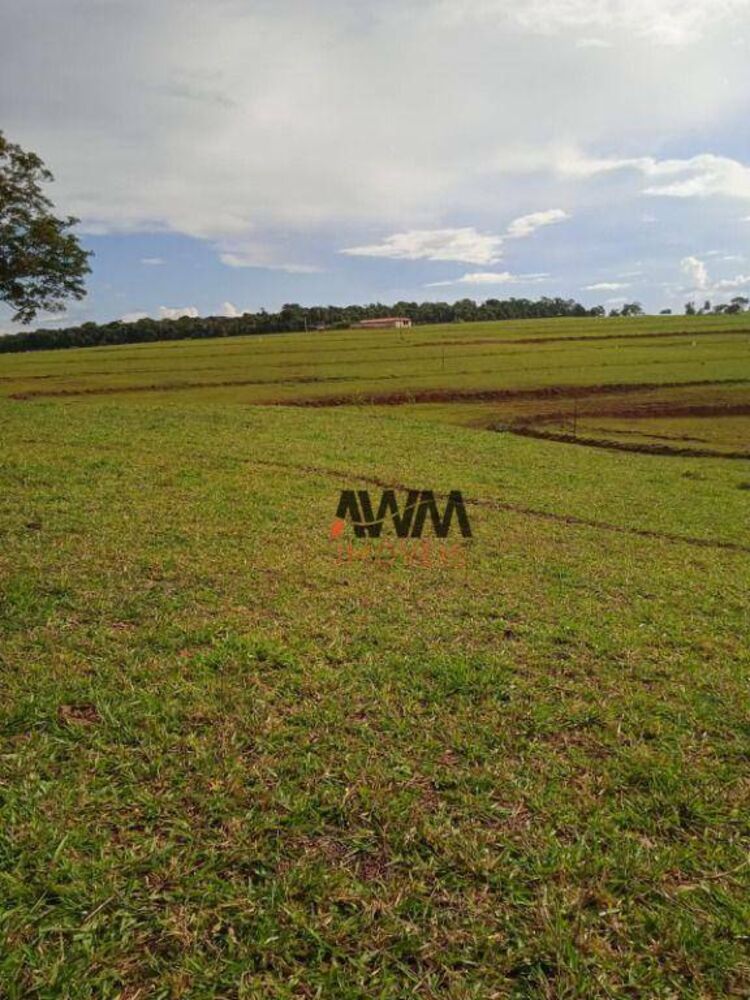 Fazenda, 160 hectares - Foto 1