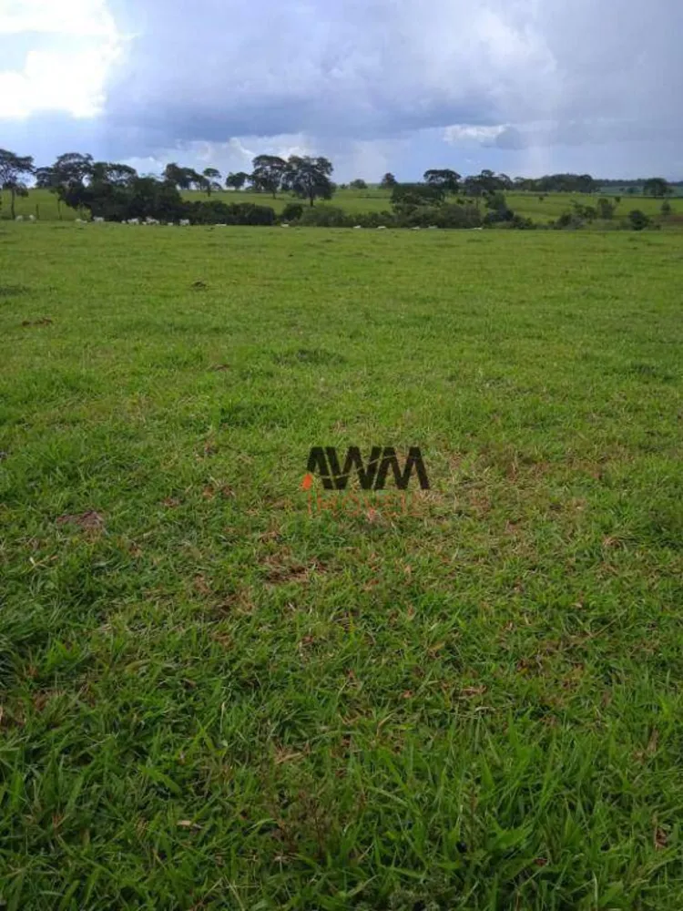 Fazenda, 160 hectares - Foto 14
