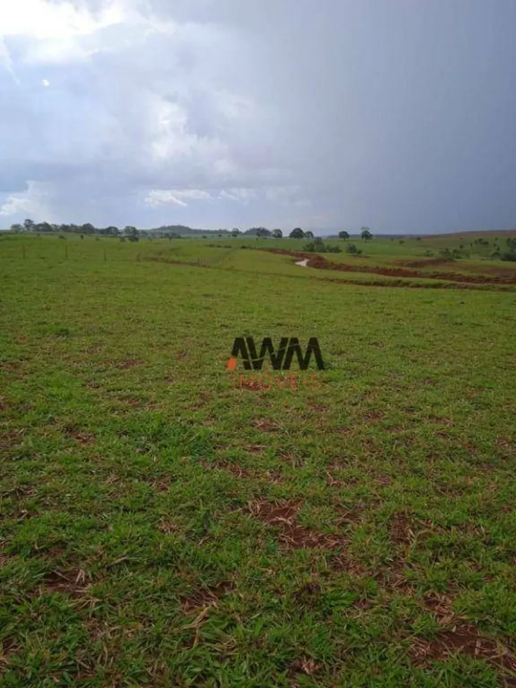 Fazenda, 160 hectares - Foto 7