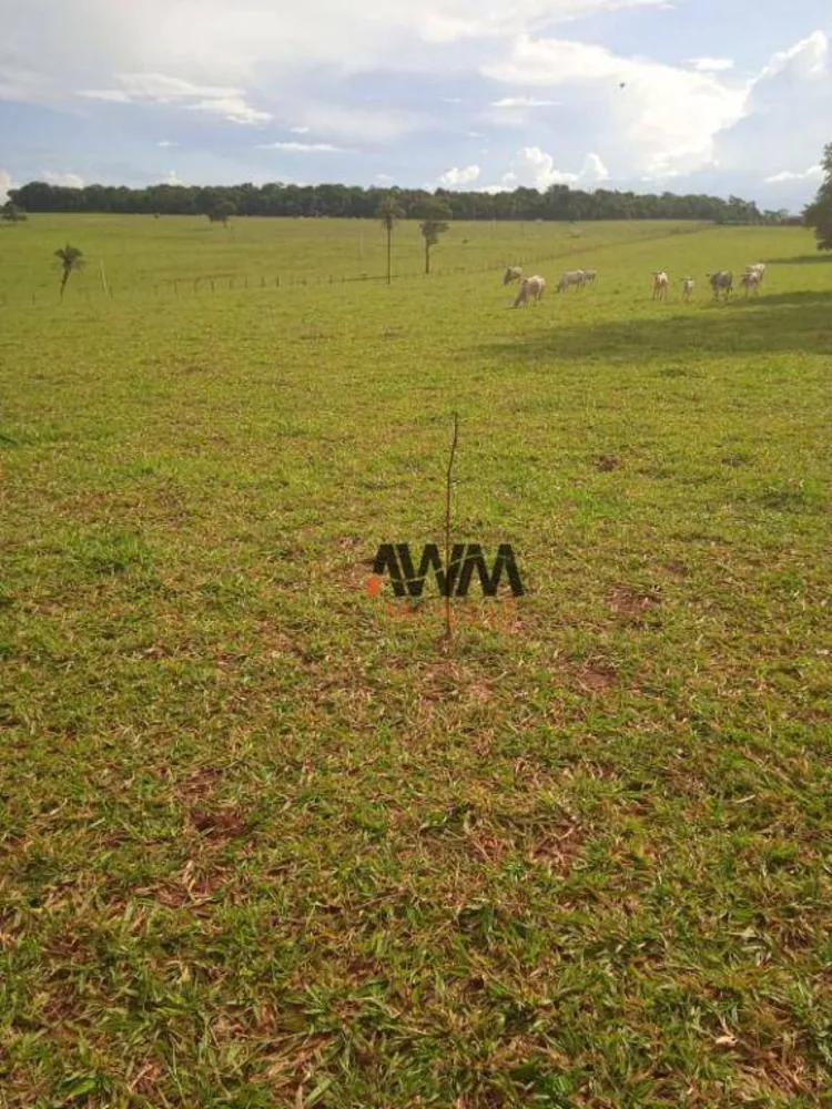 Fazenda, 160 hectares - Foto 4