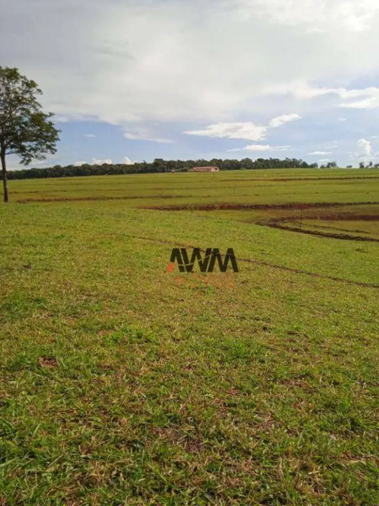 Fazenda, 160 hectares - Foto 2
