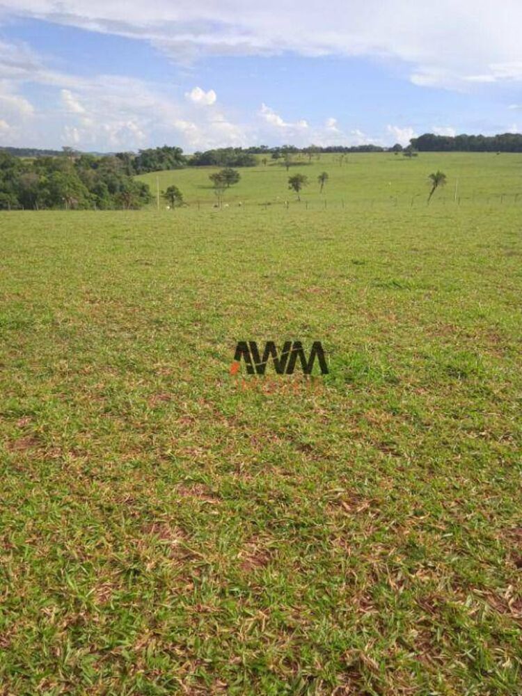 Fazenda, 160 hectares - Foto 3