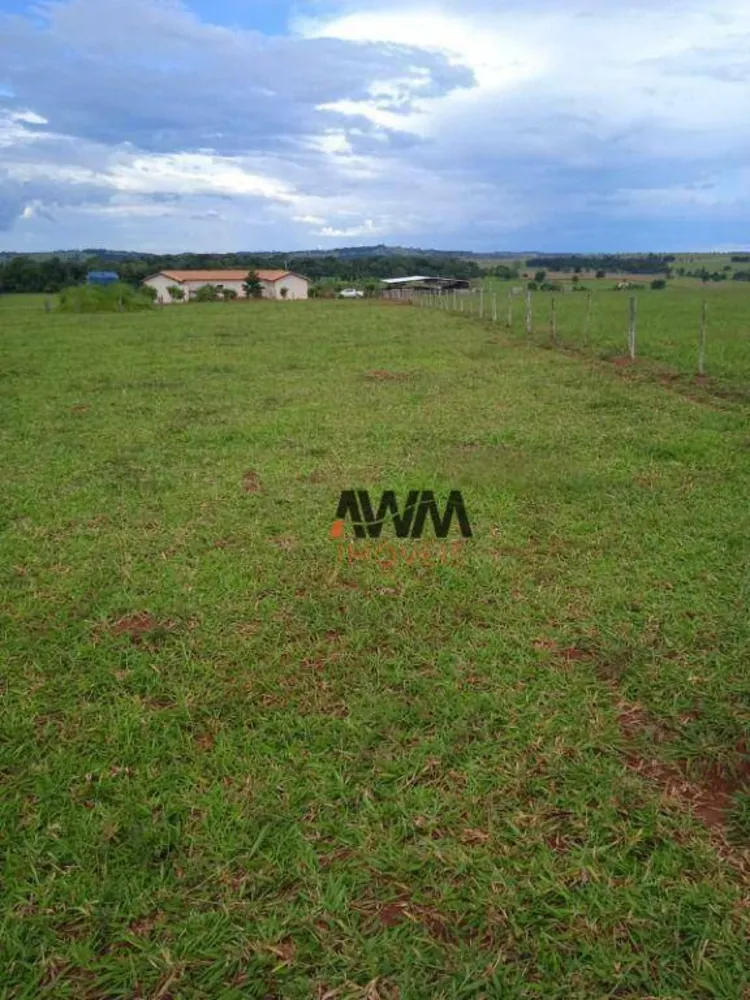 Fazenda, 160 hectares - Foto 5