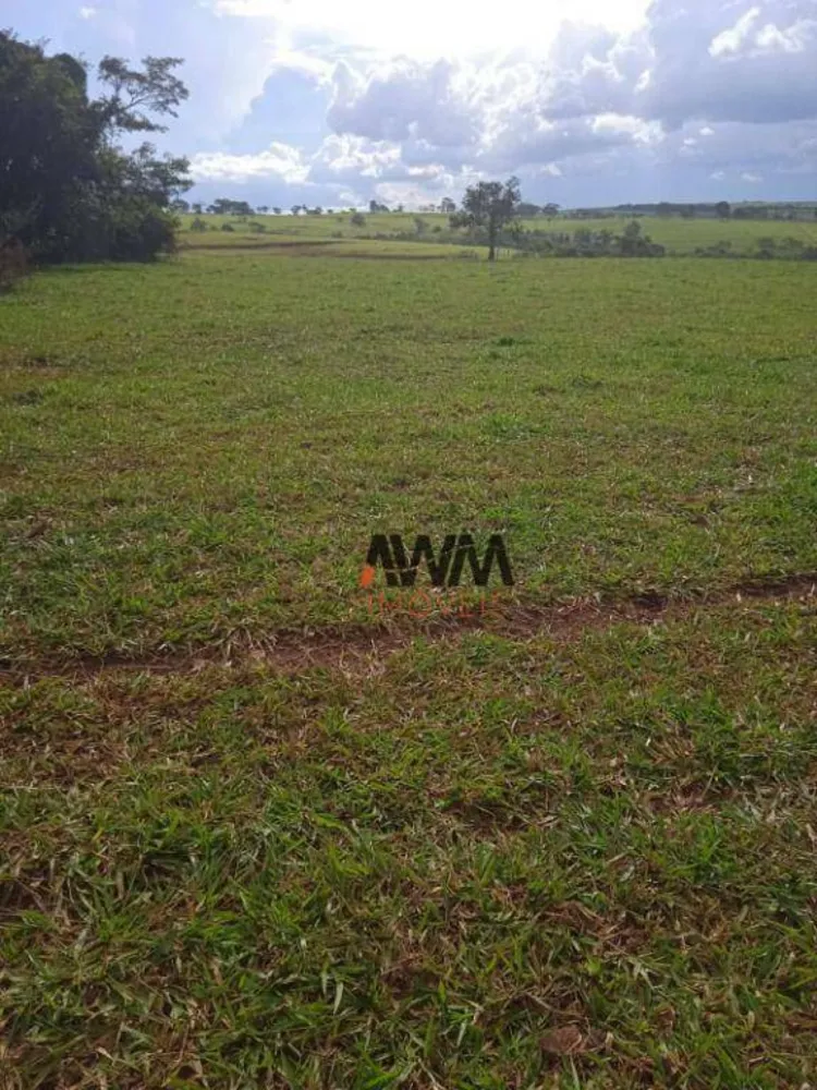 Fazenda, 160 hectares - Foto 6