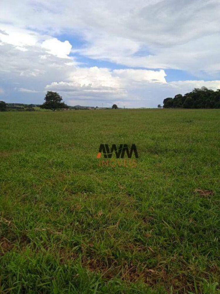 Fazenda, 160 hectares - Foto 4