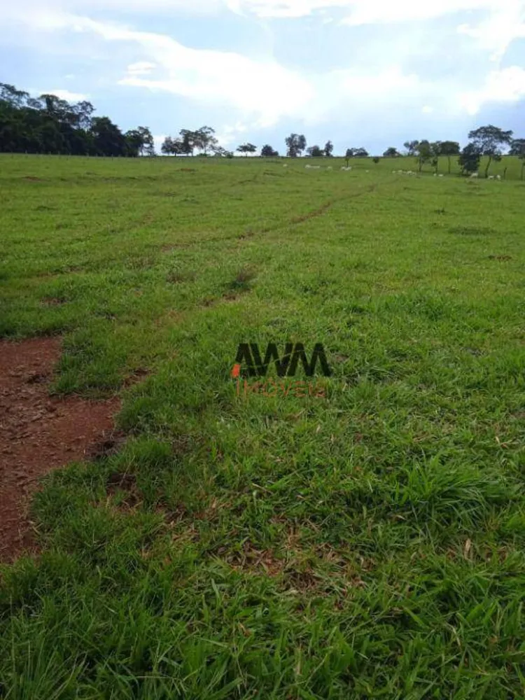 Fazenda, 160 hectares - Foto 1
