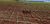 Fazenda, 10000 hectares - Foto 1