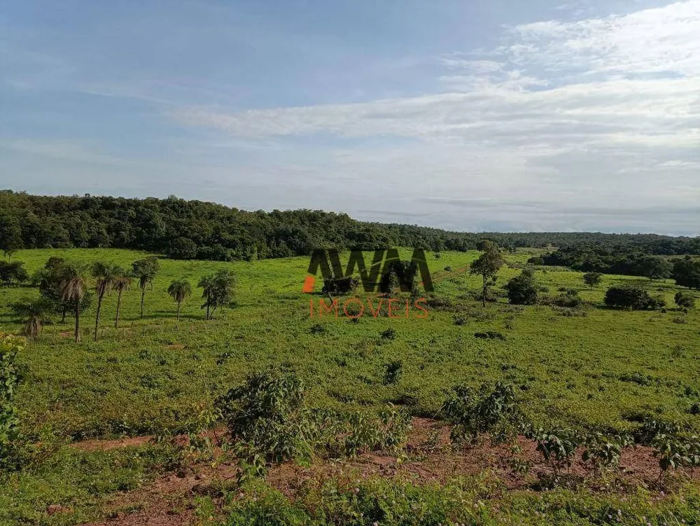Fazenda, 5169 hectares - Foto 4