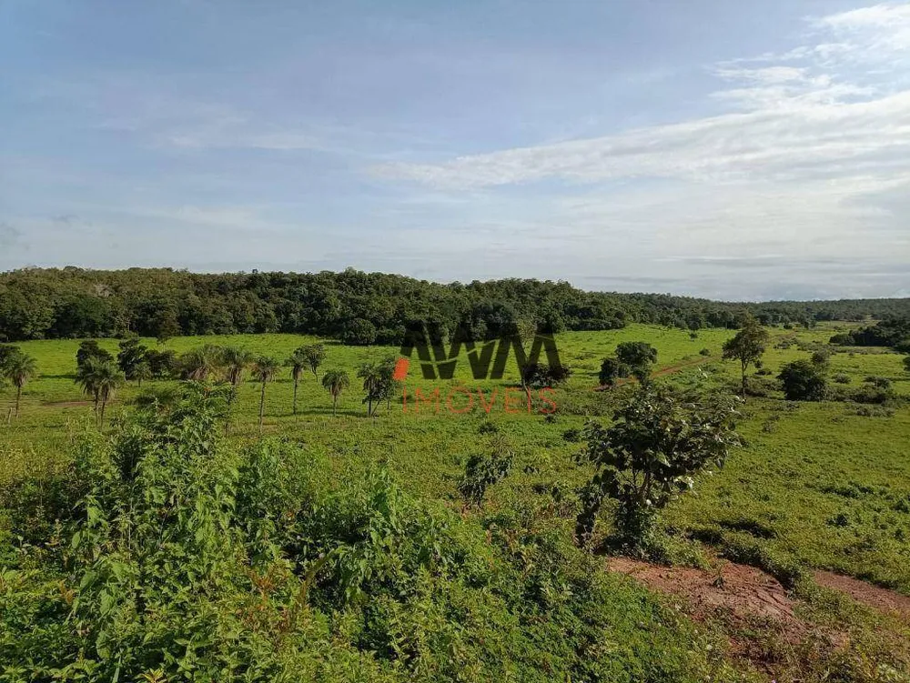 Fazenda, 5169 hectares - Foto 3