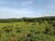 Fazenda, 5169 hectares - Foto 1