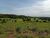 Fazenda, 5169 hectares - Foto 4