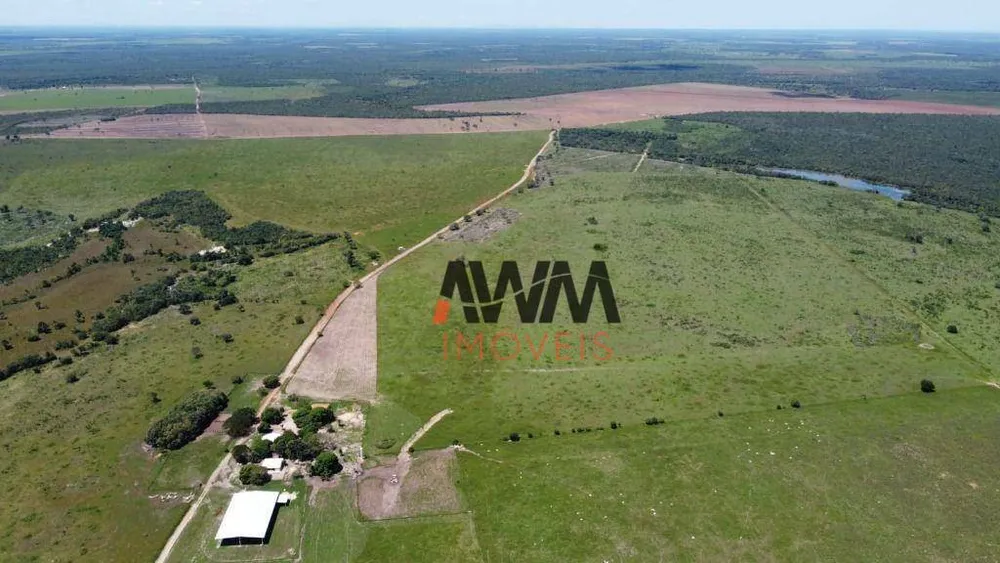 Fazenda, 3291 hectares - Foto 8