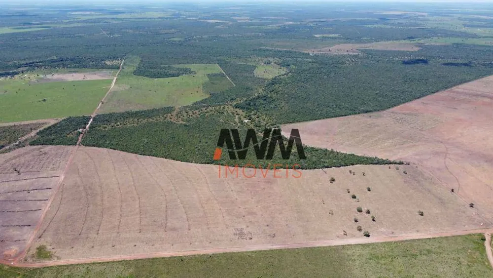 Fazenda, 3291 hectares - Foto 7