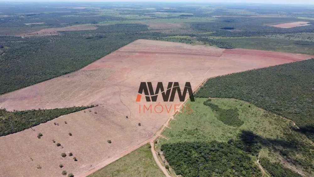 Fazenda, 3291 hectares - Foto 6