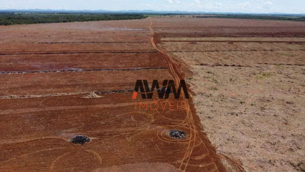 Fazenda, 3291 hectares - Foto 4