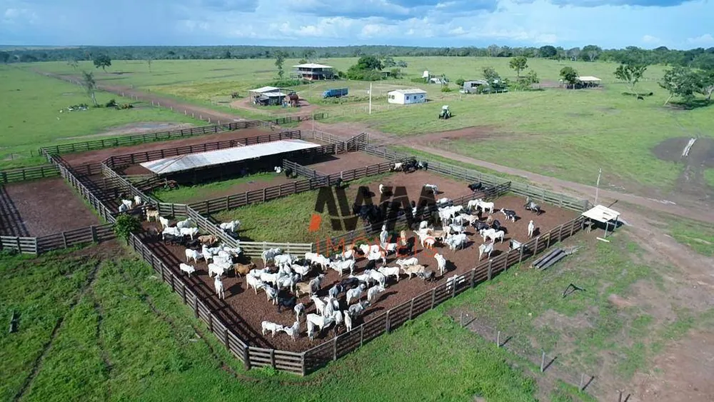 Fazenda, 6280 hectares - Foto 1