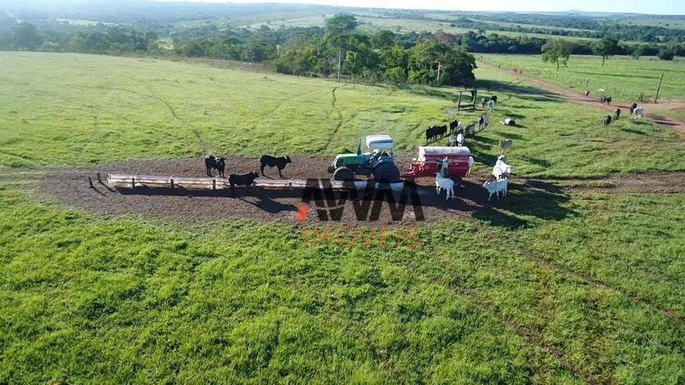 Fazenda, 6280 hectares - Foto 3