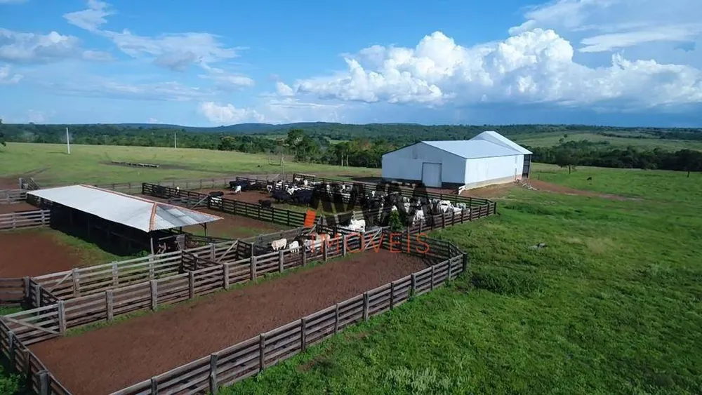 Fazenda, 6280 hectares - Foto 2