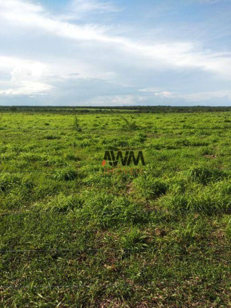 Fazenda à venda, 79279200M2 - Foto 3