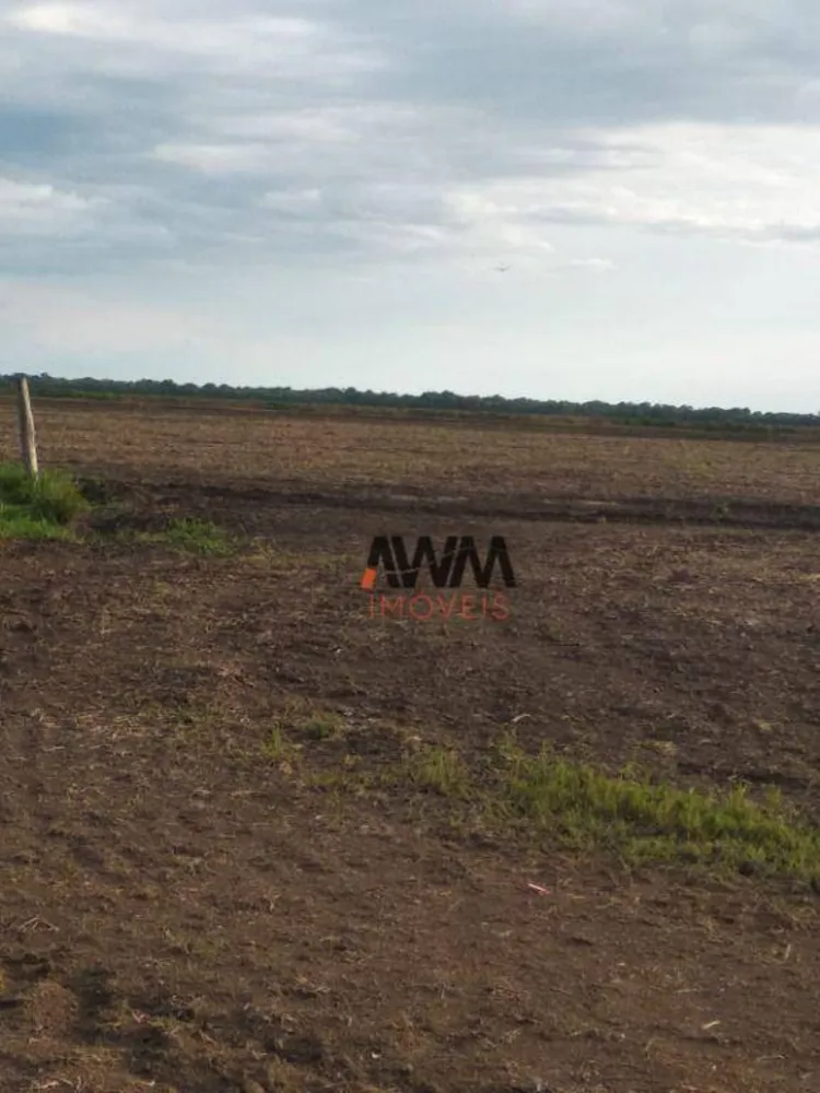 Fazenda, 7928 hectares - Foto 2