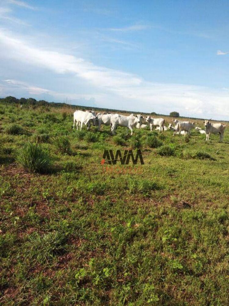 Fazenda à venda, 79279200M2 - Foto 1