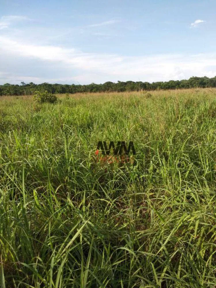 Fazenda, 7928 hectares - Foto 4