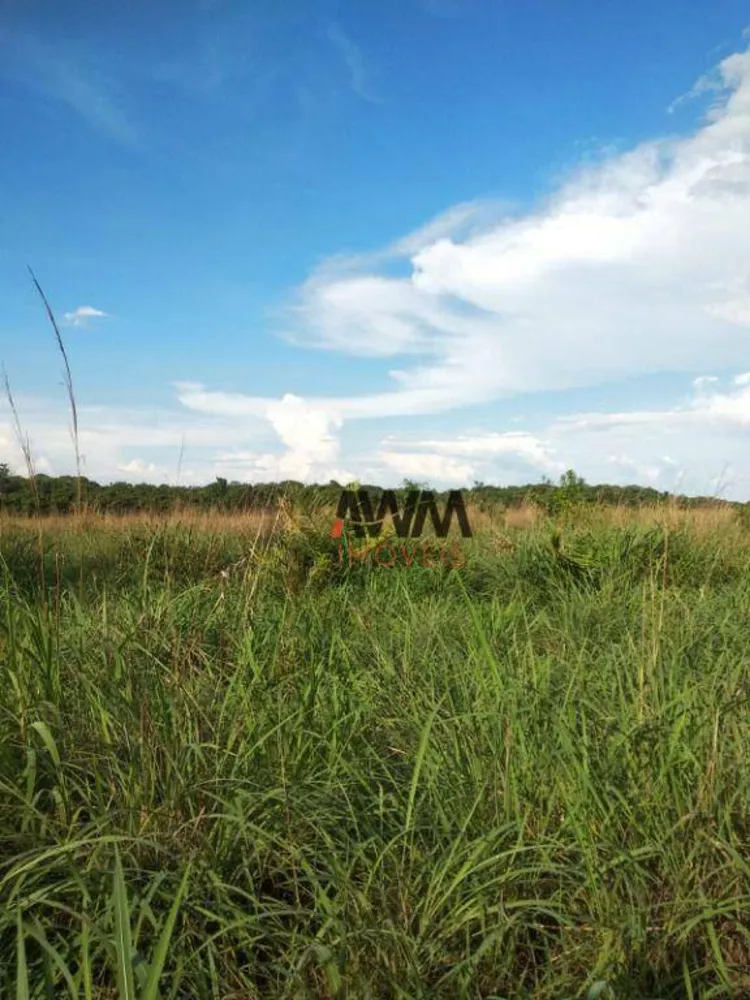Fazenda, 7928 hectares - Foto 13