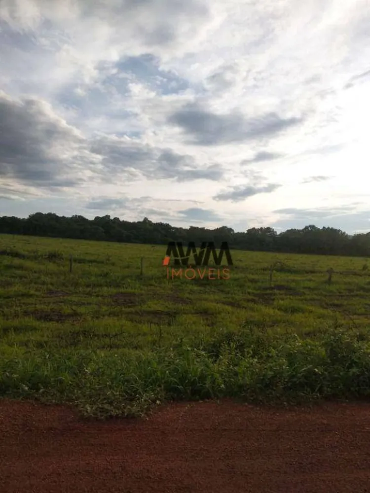 Fazenda, 7928 hectares - Foto 5