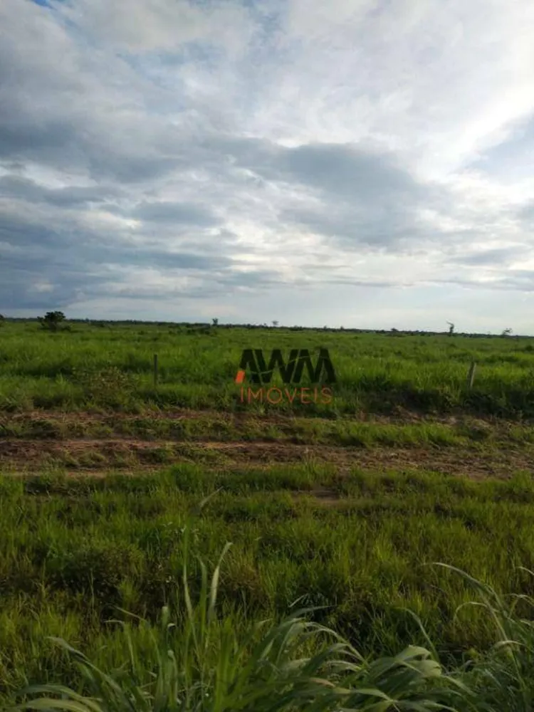 Fazenda, 7928 hectares - Foto 3