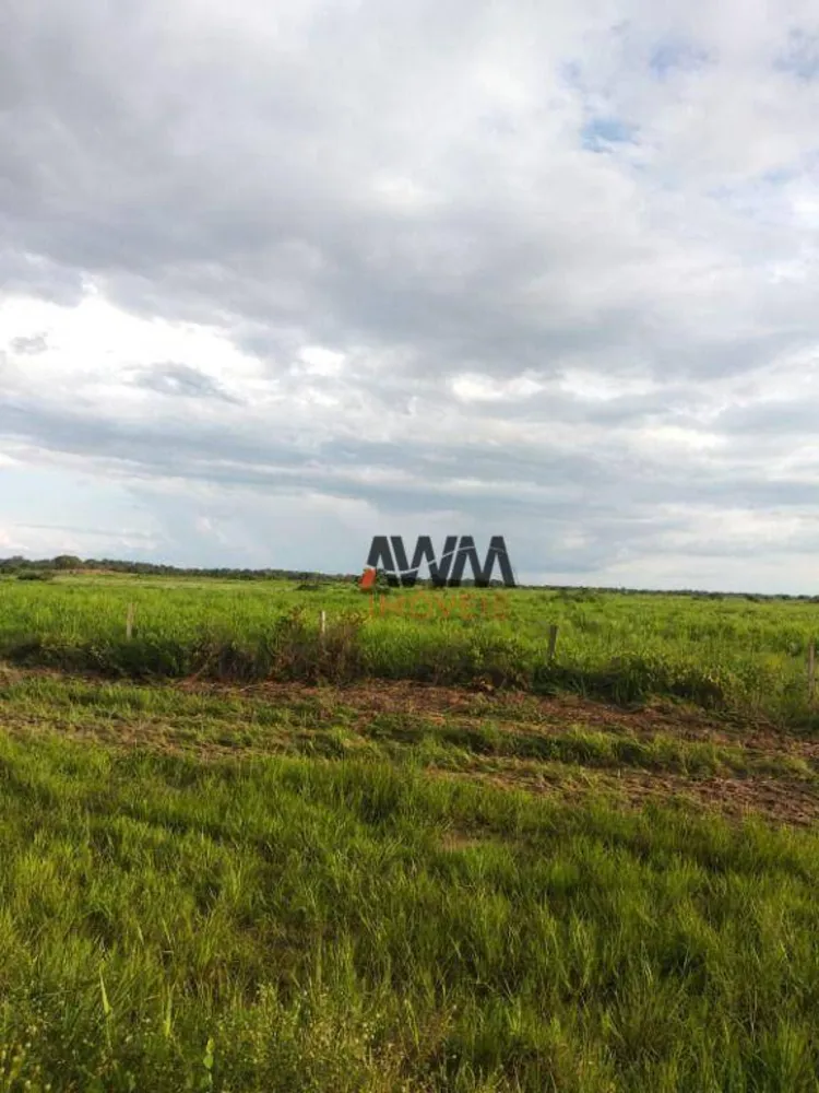 Fazenda, 7928 hectares - Foto 7