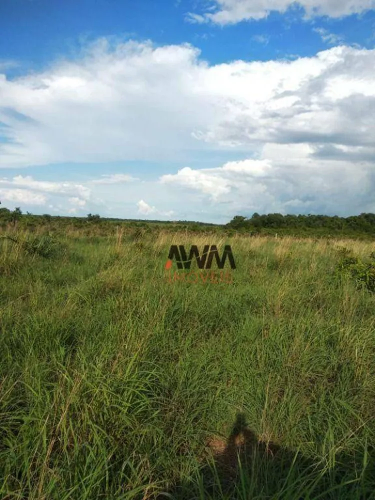 Fazenda, 7928 hectares - Foto 9
