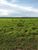 Fazenda, 7928 hectares - Foto 3