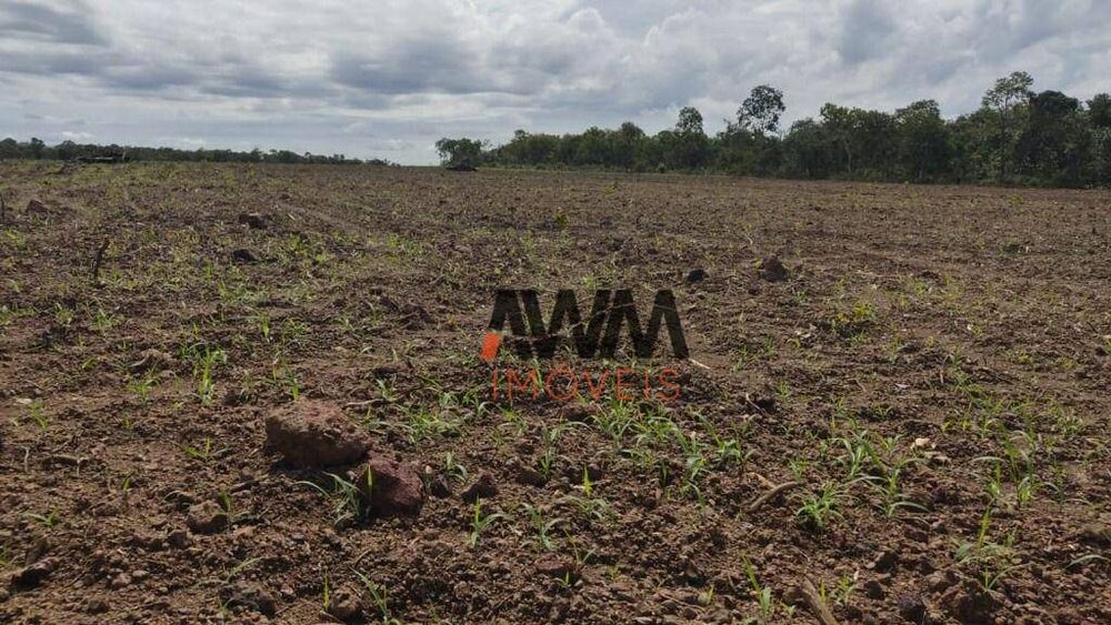 Fazenda à venda, 38136780M2 - Foto 3