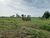 Fazenda, 765 hectares - Foto 2