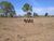 Fazenda, 765 hectares - Foto 1