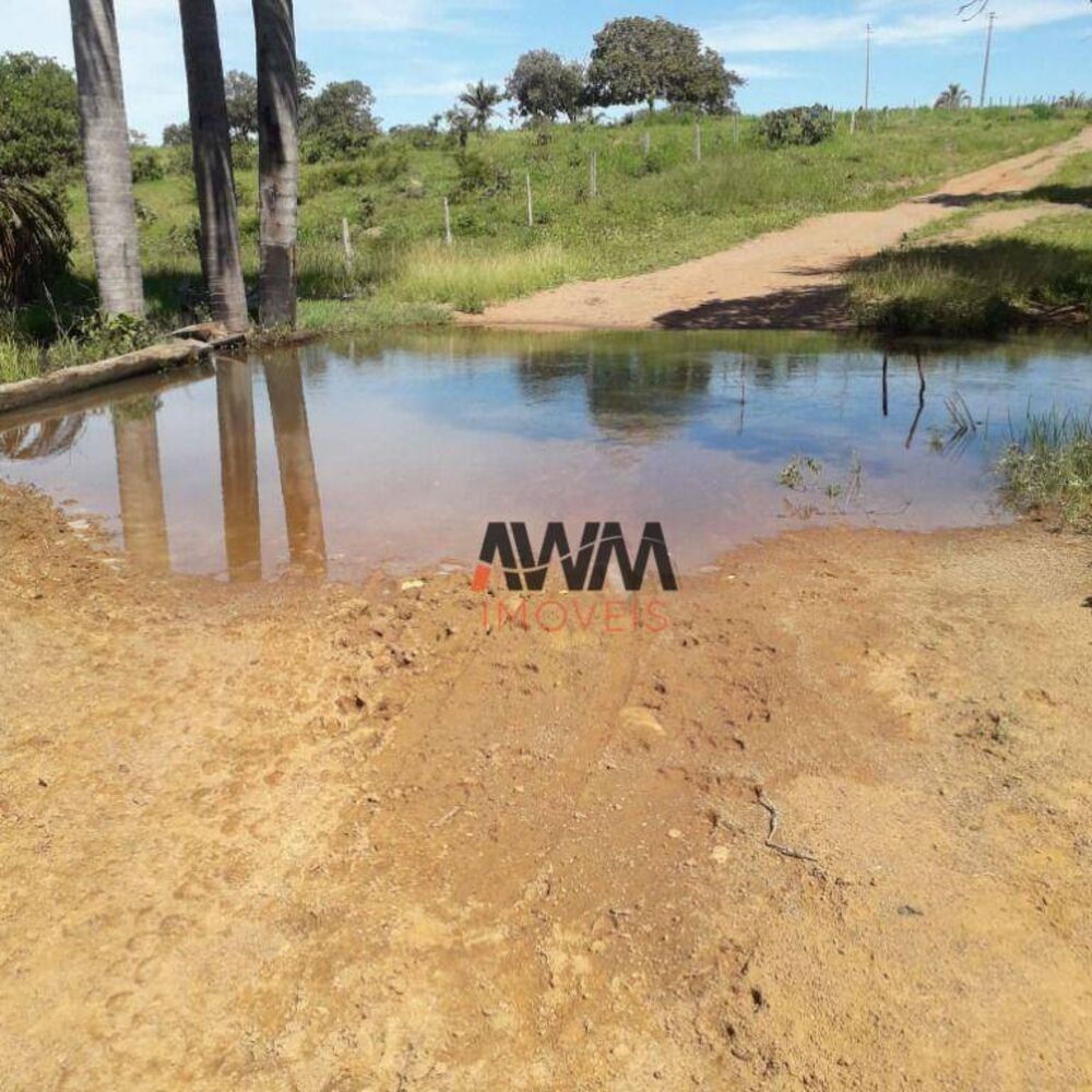 Fazenda, 1055 hectares - Foto 3