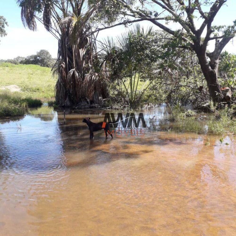 Fazenda, 1055 hectares - Foto 2