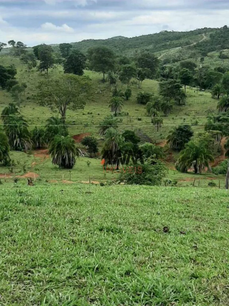 Fazenda, 489 hectares - Foto 8