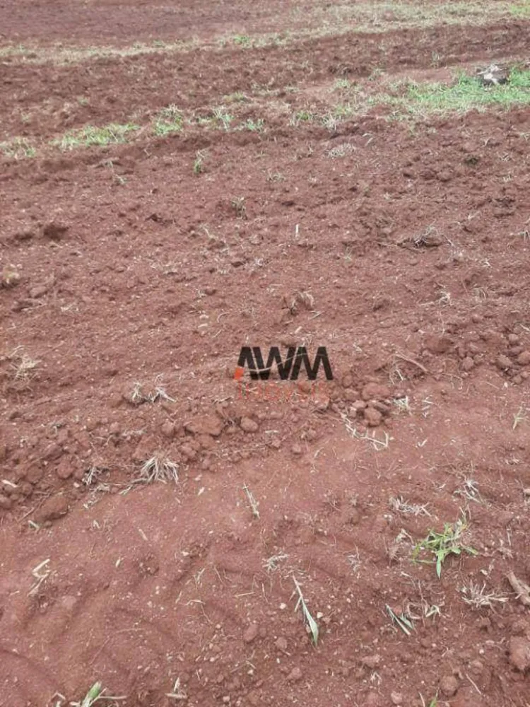 Fazenda, 489 hectares - Foto 1