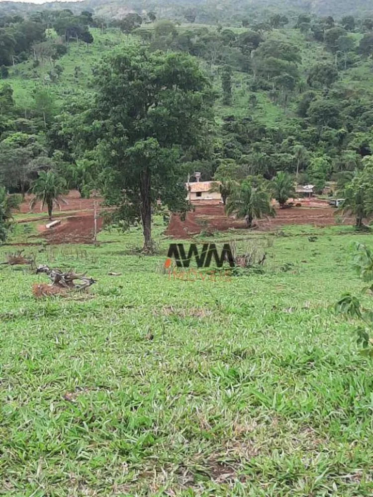 Fazenda, 489 hectares - Foto 2